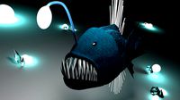 angler fish