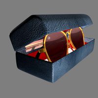 Sunglass