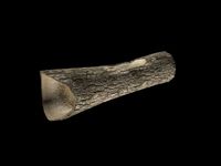 Wooden Log