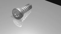 Screw