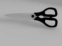 Stainless Steel scissors