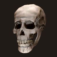 Skully