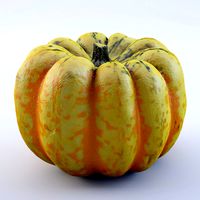 Pumpkin