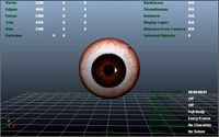 Brown eye