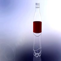 Plastic bottle