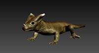 Horned Lizard
