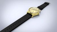 elegant watch