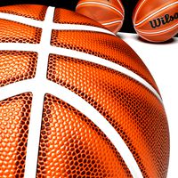 Reallistic Basketball