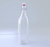 Glass Water Bottle