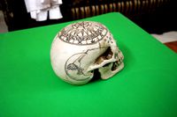skull