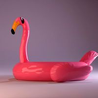 3D Flamingo Raft Model