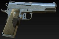 gun