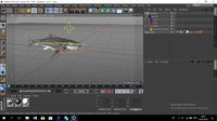 motion shark