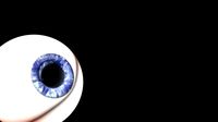 Eye Ball