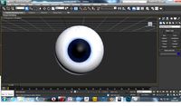 human eye