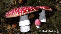 Toadstools
