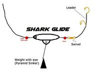 Shark Glide