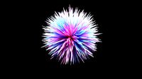 Hair Ball