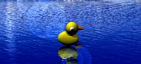 Simple Duck