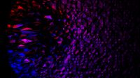 Abstract BG1