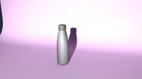 Steel Bottles