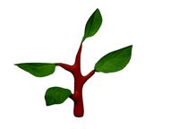 Plant for work