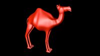 Camel