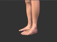 Male legs