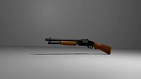 shotgun