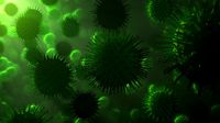 Virus
