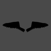 black wings