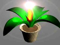 magic plant.max