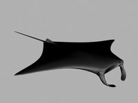 manta.3DS