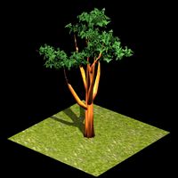 nature_tree_003.t3d