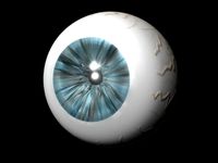 eye