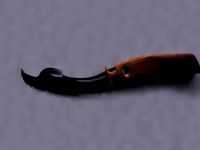 Knife