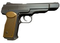 APS 3D Model