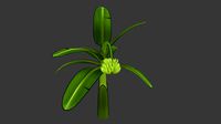 Banana tree