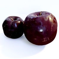 Realistic Plums