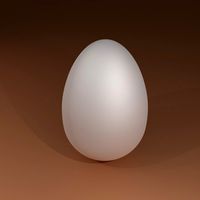 Egg
