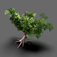tree