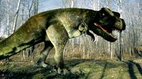 Trex
