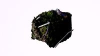 Stump