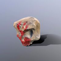 Skull