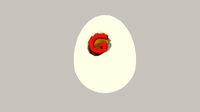G-Egg