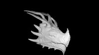 Dragon Head