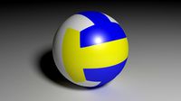 VolleyBall Optimized