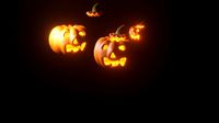 pumpkin-citrouille