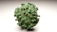 Corona virus