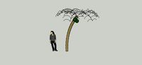 PalmTreeFruits